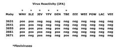 Anti-West Nile virus Envelope antibody [3661] used in  (). GTX36806